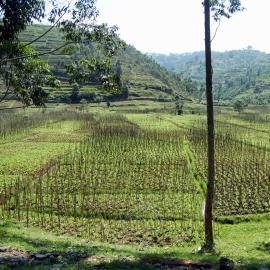 Biodiversity Awareness: A Story of Hope